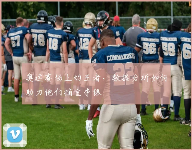 奥运赛场上的王者，数据分析如何助力他们摘金夺银