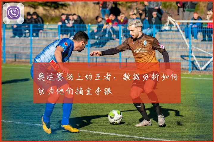 奥运赛场上的王者，数据分析如何助力他们摘金夺银