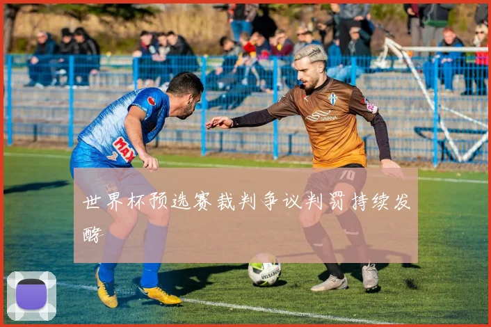 世界杯预选赛裁判争议判罚持续发酵