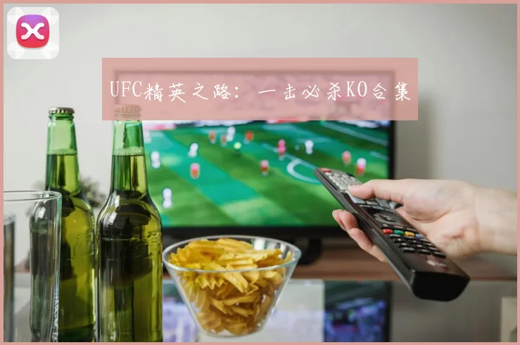 UFC精英之路:一击必杀KO合集