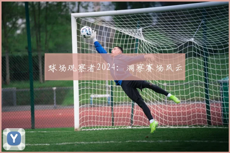 球场观察者2024:洞察赛场风云