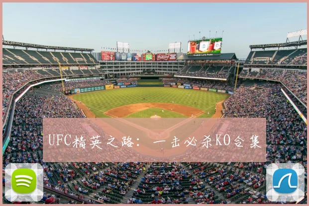 UFC精英之路:一击必杀KO合集