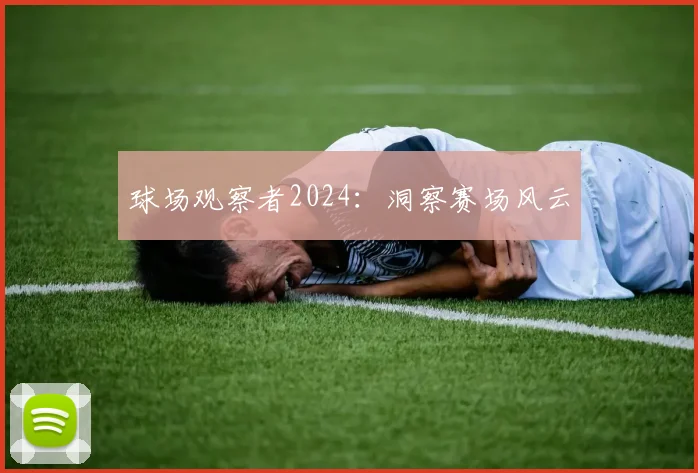 球场观察者2024:洞察赛场风云