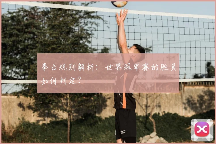 拳击规则解析：世界冠军赛的胜负如何判定？