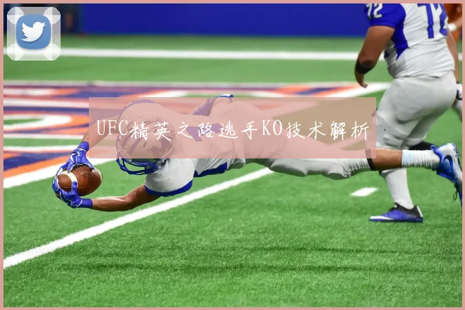 UFC精英之路选手KO技术解析